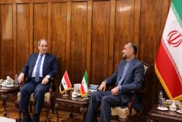 عادی‌سازی روابط اشتباهی راهبردی است