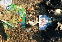 از ۱۷۶ کشته چه ماند؟!