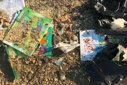 از ۱۷۶ کشته چه ماند؟!
