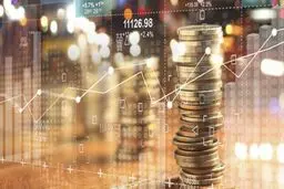 کلید حل مشکل بازار سرمایه در دست چه کسی است؟