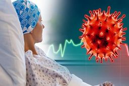 سرطان سالانه چند نفر را میکشد؟