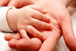 آمار ناباروری بین زوج های ایرانی