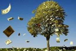 درختِ پول در ونزوئلا + عکس