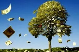درختِ پول در ونزوئلا + عکس