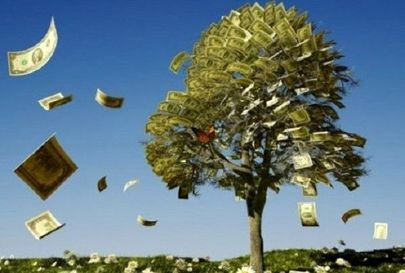 درختِ پول در ونزوئلا + عکس