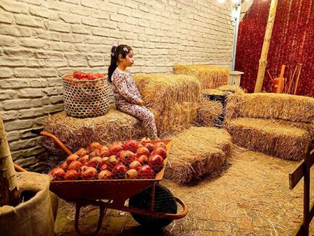 برگزاری جشنواره انار در کرج