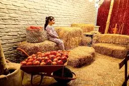 برگزاری جشنواره انار در کرج