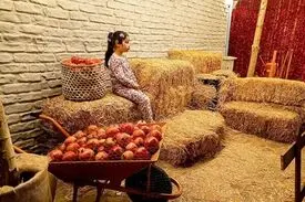 برگزاری جشنواره انار در کرج