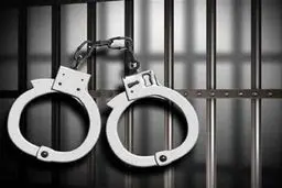 دستگیری عامل هتک حرمت به تندیس سردار سلیمانی در شهرکرد