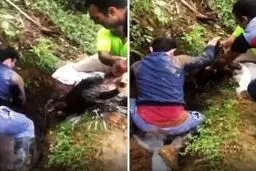 سه شکارچی تشی در مازندران بازداشت شدند.