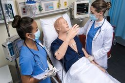 سکته مغزی ربات انسان نما!