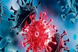 زنگ خطر امیکرون در گلستان