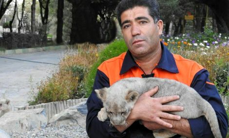 پدری که درحین غذا دادن گلویش توسط شیران دریده شد!