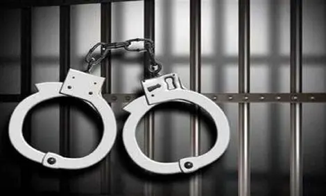 دستگیری متهمی که روی گربه آبجوش ریخت