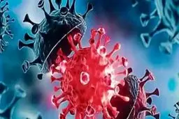 علائم امیکرون را اشتباه نگیرید