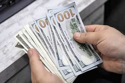 قیمت دلار و یورو صرافی ملی ۲۰ بهمن ۱۴۰۰