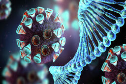 کرونا با کدام اعضای بدن درگیر میشود؟