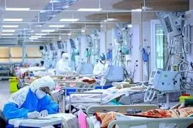 تعداد مراجعان سرپایی امیکرون ۸ برابر شده