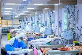 تعداد مراجعان سرپایی امیکرون ۸ برابر شده