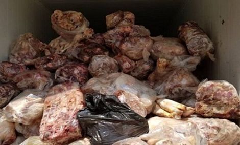 کشف ۱۵ تُن کله و پاچه فاسد در مراغه