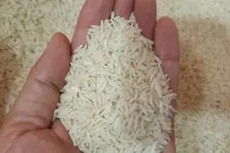 نرخ انواع برنج خارجی و ایرانی اعلام شد