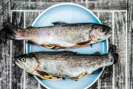 کاهش ۵ هزار تومانی قیمت قزل آلا در بازار