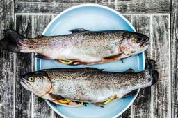 کاهش ۵ هزار تومانی قیمت قزل آلا در بازار