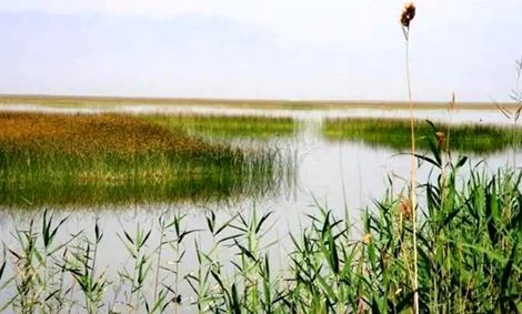 حق آبه خوزستان باید پرداخت شود/کشت تابستانه مدیریت شود