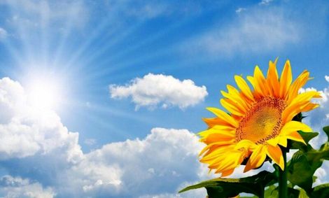 ۲ موج گرمای دیگر تا پایان فروردین وارد کشور می‌شود