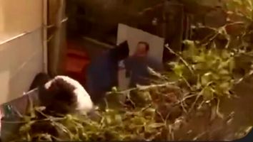 واکنش بهزیستی البرز به کتک زدن یک بیمار در مرکز نگهداری بیماران روانی