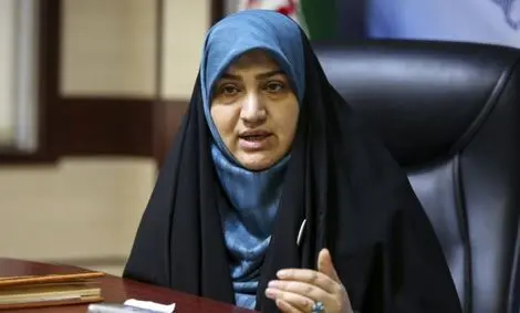 دولت هم پارسال و هم امسال اعتبار مقابله یا ریزگردها را از بودجه حذف کرد