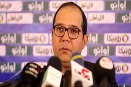 ربیعی: آلومینیوم و مس در مسیر موفقیت هستن