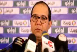 ربیعی: آلومینیوم و مس در مسیر موفقیت هستن