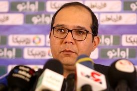 ربیعی: آلومینیوم و مس در مسیر موفقیت هستن