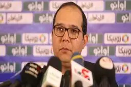 ربیعی: آلومینیوم و مس در مسیر موفقیت هستن