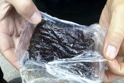 کشف ۳ کیلوگرم تریاک بلعیده شده در خراسان رضوی