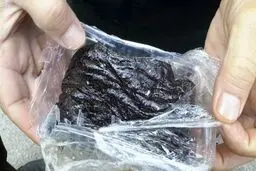 کشف ۳ کیلوگرم تریاک بلعیده شده در خراسان رضوی