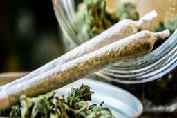 آیا مصرف ماری جوانا در ایران قانونی می‌شود؟