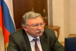 اولیانوف: کرسی ما در شورای امنیت محفوظ است