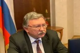 اولیانوف: کرسی ما در شورای امنیت محفوظ است