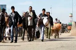 مهاجرت روزانه ۳ هزارافغانستانی به ایران به دلیل بیکاری