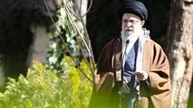 تخریب جنگل‌ها و محیط زیست و پوشش‌های گیاهی تخریب منافع ملی است