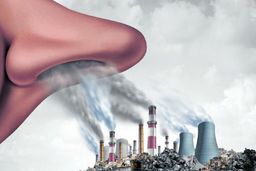 تاثیرات وحشتناک ریزگردهای آلوده کننده هوا روی بدن!