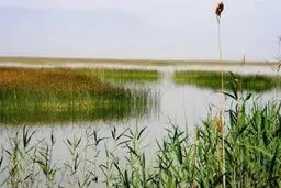 مدیرعامل شرکت آب و فاضلاب خوزستان:شاهد خشک شدن کرخه در اردیبهشت ماه هستیم