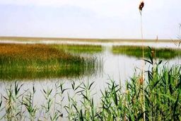 مدیرعامل شرکت آب و فاضلاب خوزستان:شاهد خشک شدن کرخه در اردیبهشت ماه هستیم