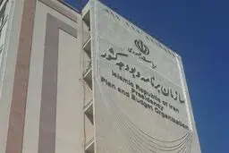 سازمان برنامه و بودجه: دولت ناچار به حذف تدریجی ارز ترجیحی است