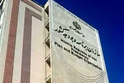 سازمان برنامه و بودجه: دولت ناچار به حذف تدریجی ارز ترجیحی است