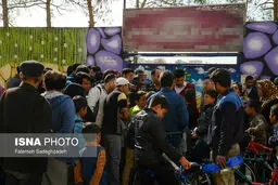 جریحه دارشدن افکارعمومی در پی انتشار ویدیوی کوتاه کردن موی دانش آموز