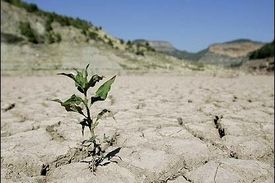 شروع مهاجرت های اقلیمی در ایران