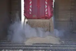 یارانه به کشورهای همسایه به خاطر ارزانی آرد!